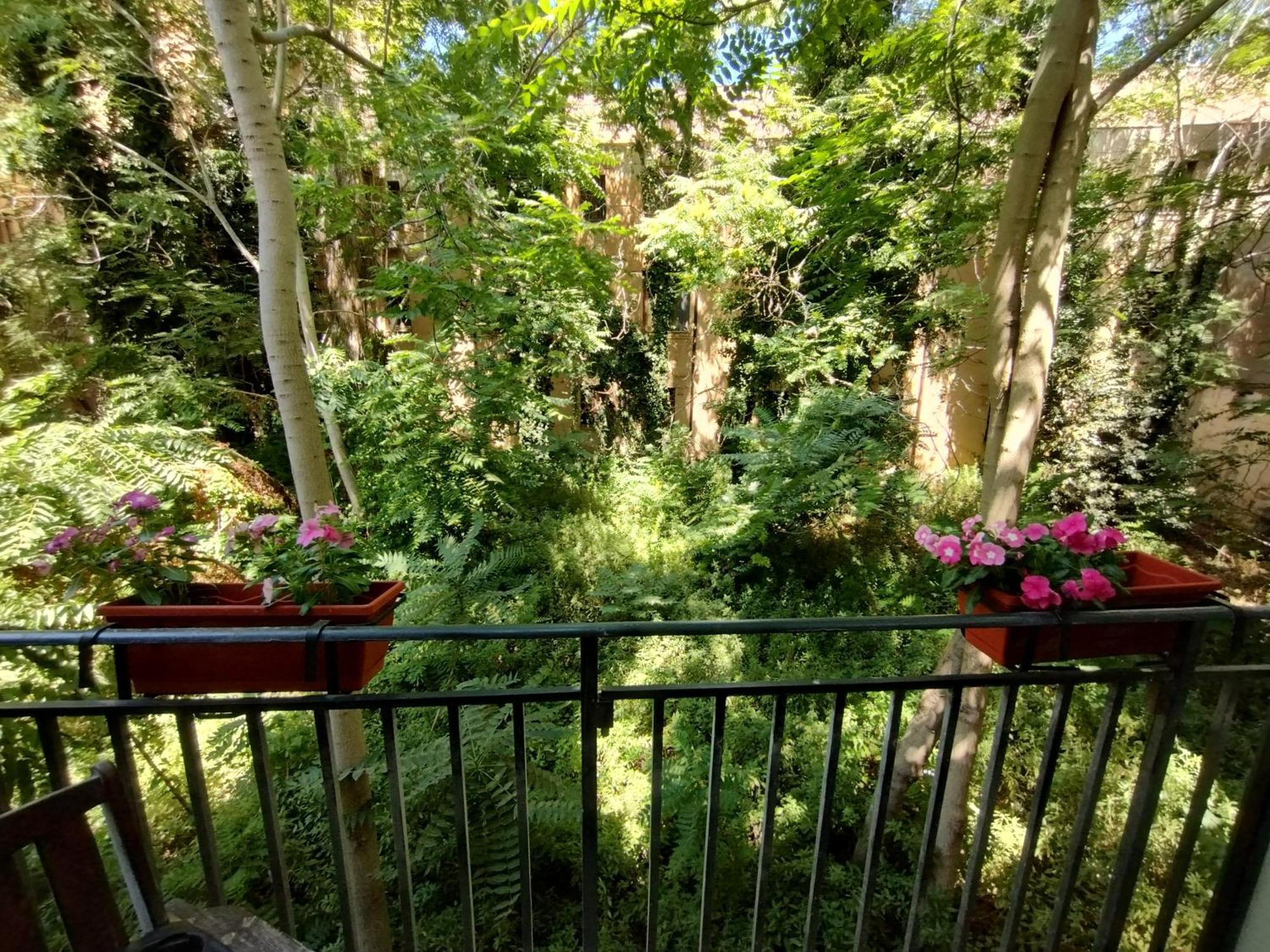 Domus Vetriera Lägenhet Palermo Exteriör bild